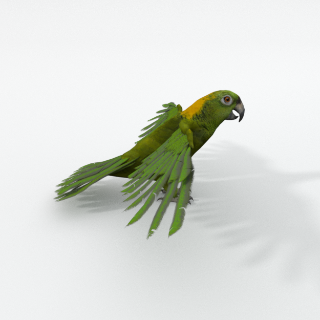 greenparrot.png