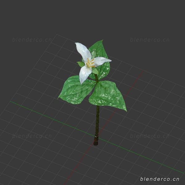 blender花瓣树叶模型鲜花blender布的