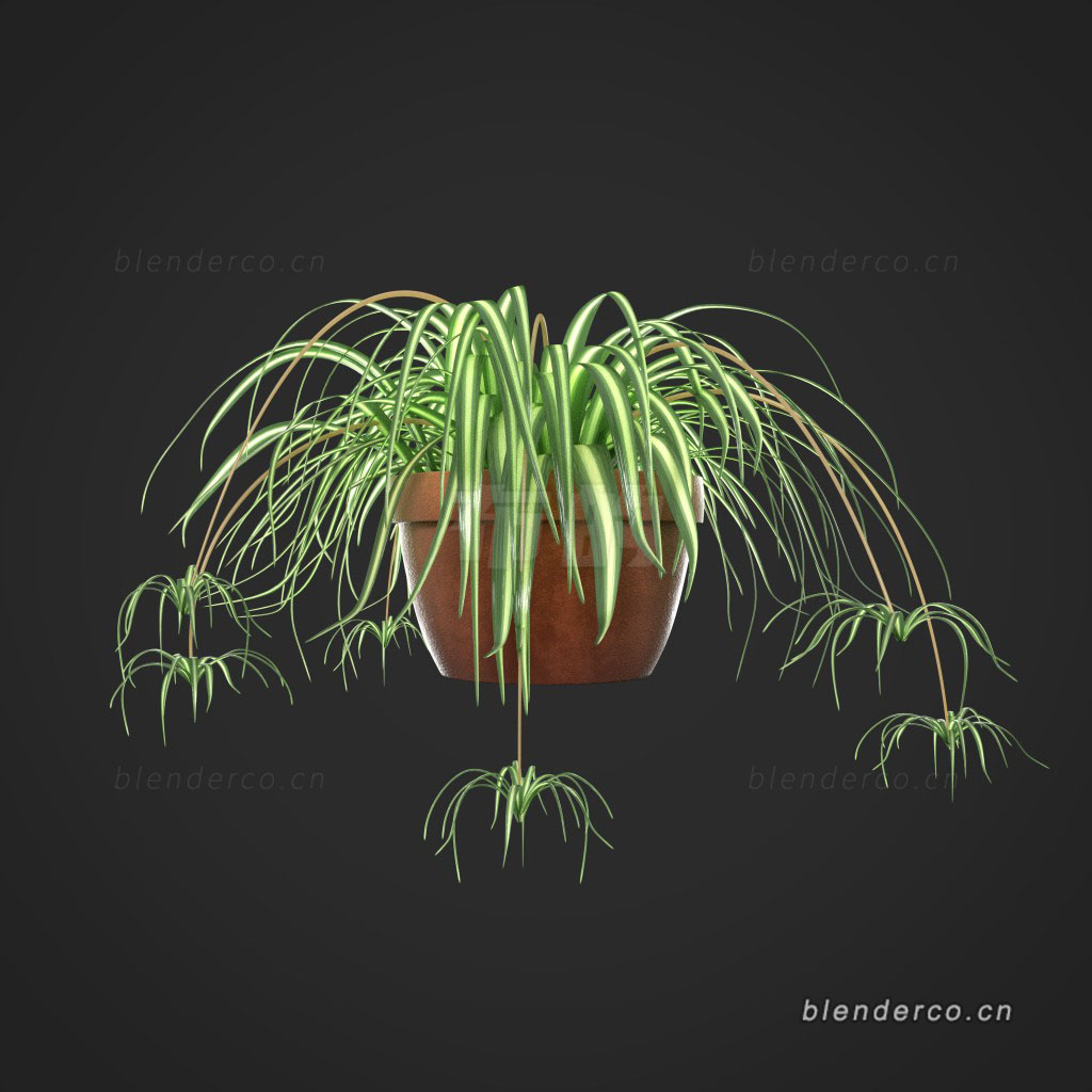 blender盆栽植物植被花盆blender布的