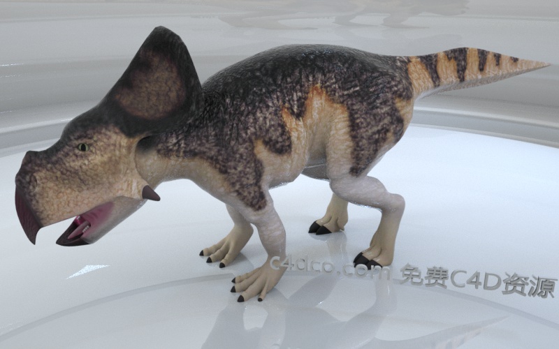 Protoceratops原角龙.jpg