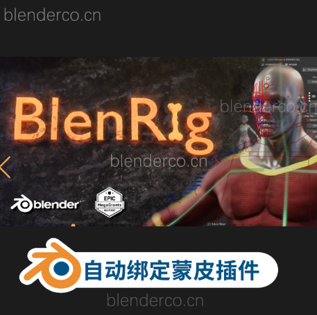 blender插件 自动绑定和蒙皮系统 Blenrig 6 V2.1.0