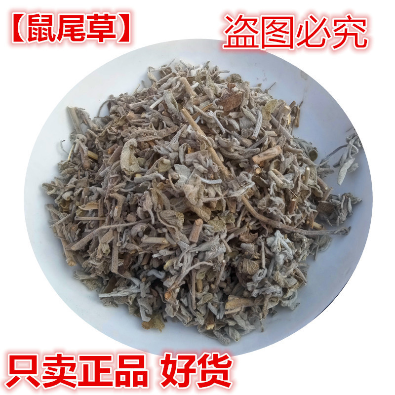 White Sage, Chinese Herbal Medicine, Authentic White Sage, Purification Spice, Supports Inspection
