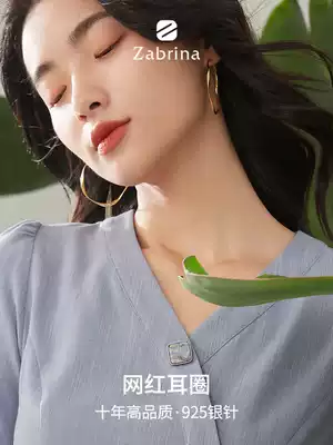 Big ring ring earrings female temperament Korean earrings exaggerated earrings earrings ear clip earrings earrings female 2020 New Tide silver earrings