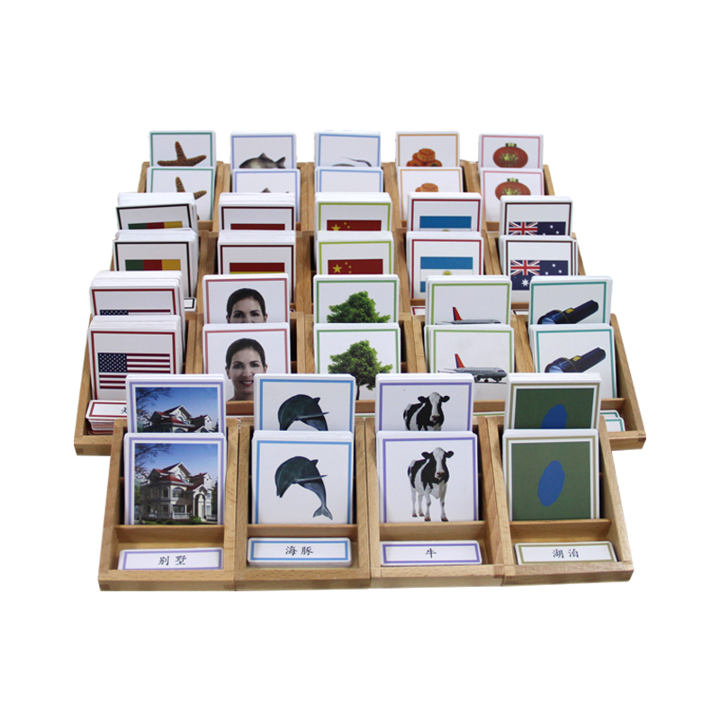 3-6 years old Montessori teaching aid Three-part card Terrain Marine animal vehicle three-part card