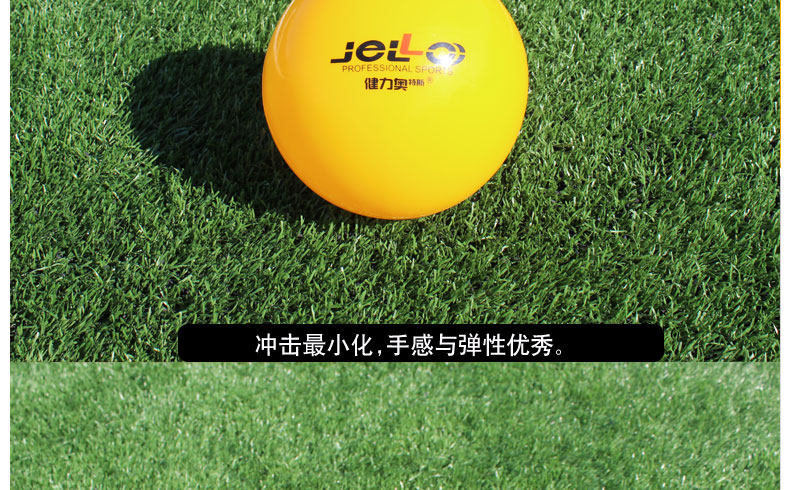 Ballon de volley-ball - Ref 2012024 Image 11