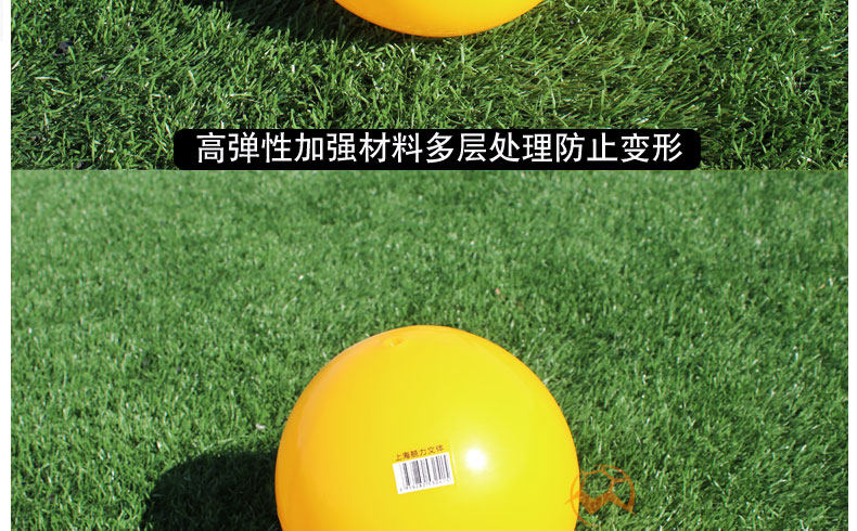 Ballon de volley-ball - Ref 2012024 Image 9