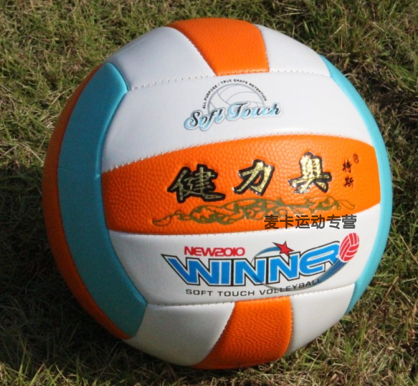 Ballon de volley - Ref 2016714 Image 3