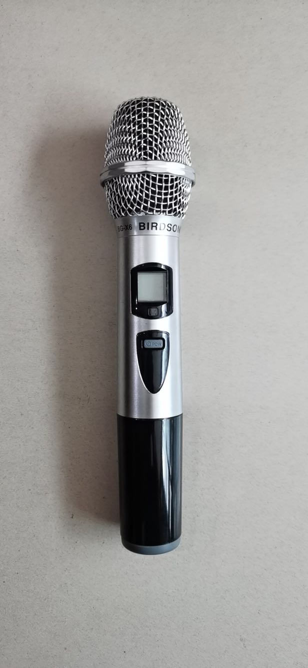 BIRDSONG BGX6 wireless microphone KTV microphone stage to sing hand Mummias