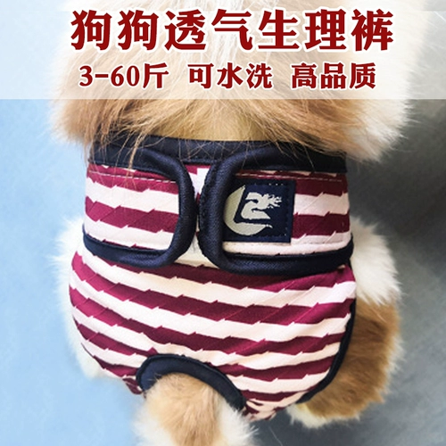 Pet Dog Тонкие физиологические штаны Corki Akita Fat Teddy Safe Menbei Планы разбиты беременные брюки.