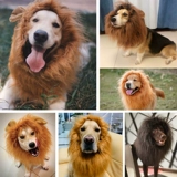 Golden Retriever Funny Lion Cover Cover, превращенный в Pet Corgi и другие средние и большие собачьи шляпы, такие как собаки