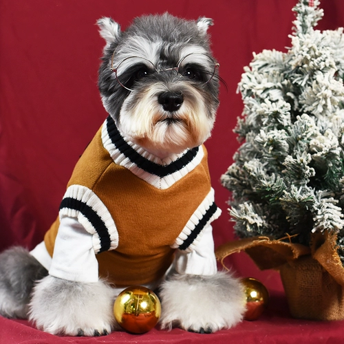 Собаки и кошки в стиле колледжа плюс бархатный жилет Тедди Бишон Медведь Корги Акита собака домашнее животное осень и зимняя вязаная теплое одежда