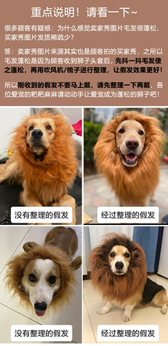 Golden Retriever Funny Lion Cover Cover, превращенный в Pet Corgi и другие средние и большие собачьи шляпы, такие как собаки