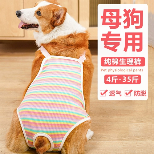 Pet Dog Pure Cotton Hetchablors Physiological Stans Corgi Teddy Fad Schnauzer.