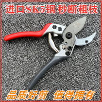 Horticultural Cut Garden Cut Fruit Trees Prunes Coarse Branches Second Break Branches Trim Flowers Imported Steel