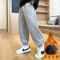 HH2003 серый бархатный зимний стиль