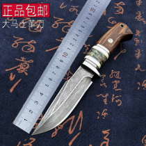 Hand-forged 290-layer Damascus steel knife wilderness survival outdoor small straight knife high hardness pattern steel knife