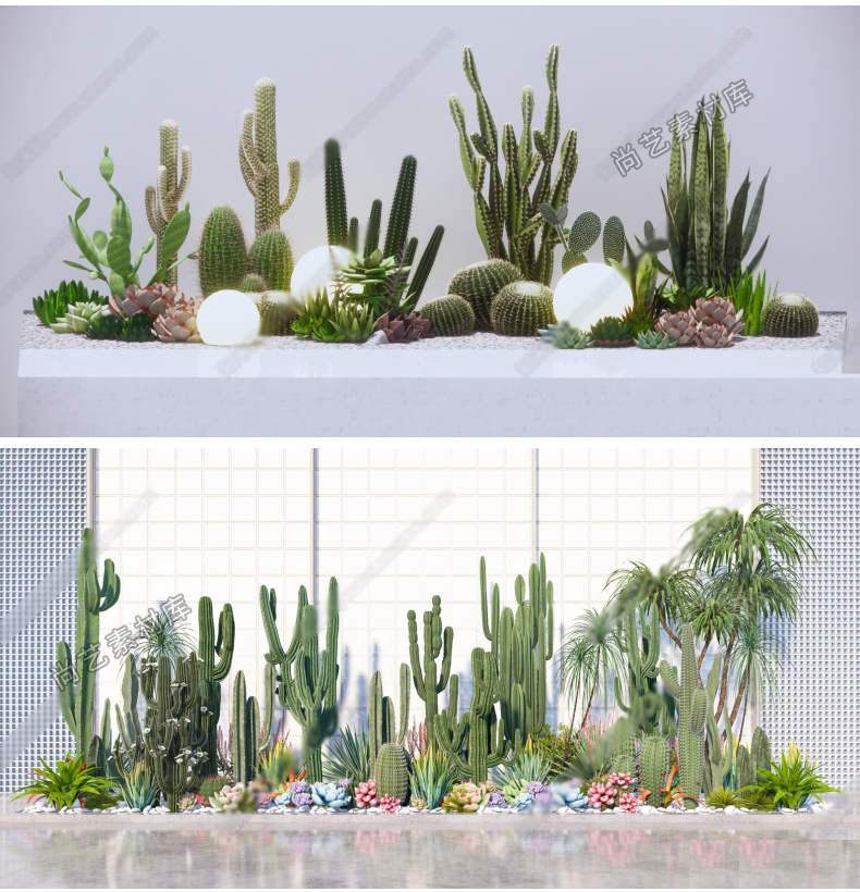 图片[2]-仙人掌仙人球植物堆SU模型热带仙人掌绿植造景多肉植物SU草图大师-cg男孩