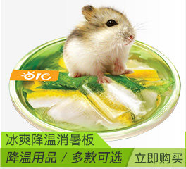 Секция ветчины -_ 10.jpg