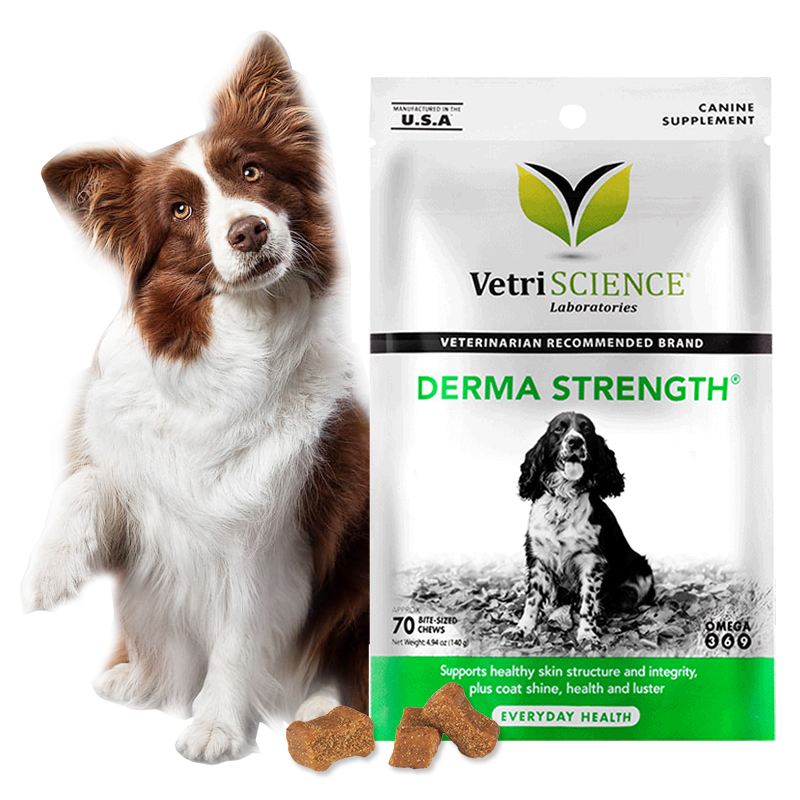 美国VetriScience宠物卵磷脂 狗狗美毛亮毛软磷脂改善脱毛营养膏