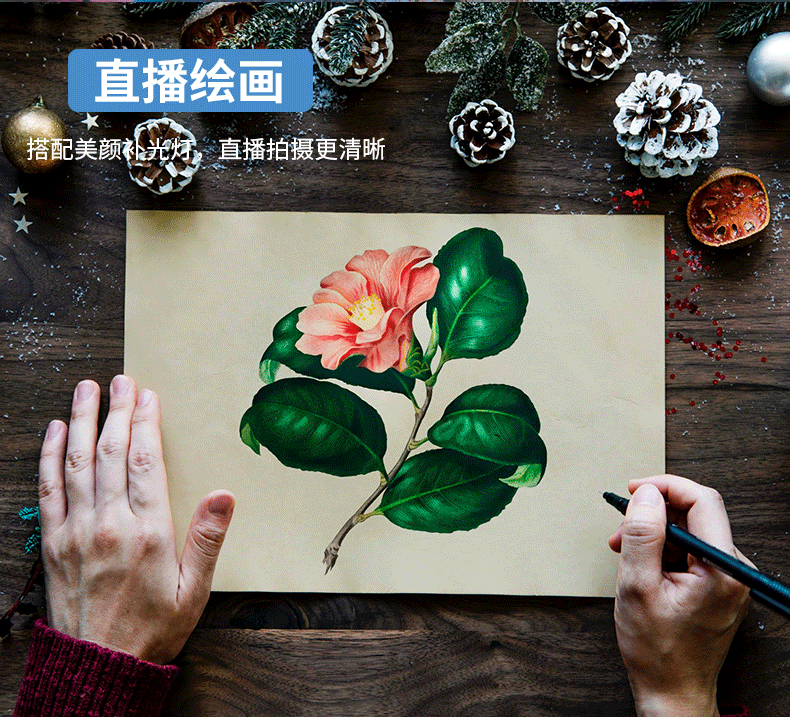 Sống ba chân sành ăn tranh thư pháp tĩnh vật chụp cuộc sống điện thoại di động overshot khung máy tính để bàn video video làm lại nhỏ kệ móng tay vi trà giảng dạy đa chức năng làm lại kệ hạ cánh - Phụ kiện điện thoại di động tripod điện thoại