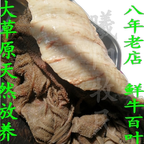Eight-year-old store Xiyang herdsman Hulunbuir Prairie stocking fresh cattle hundred-leaf cattle stomach tip non-foaming hair