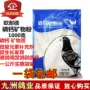 Phospho Canxi Canxi Powder Powder Na Naide Pigeon Pigeon Thuốc Pigeon Cung cấp Racing Pigeon Khoáng chất Parrot Bird Bổ sung Phospho Canxi Powder - Chim & Chăm sóc chim Supplies 	cám cho chim chào mào thay lông	