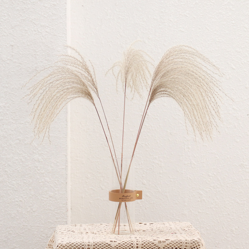 WULIHOME dusty small reed dry flower pendulum with matching vase table swing piece shop decoration photo props