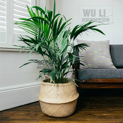 Hot pin Nordic seaweeds woven Dirty Clothes Folding Containing basket Seagrass Belly Ins flower pots