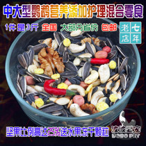 Medium Large Parrot Nutritional Grain Sub calendar Keke Chest Grey Parrot Eclectic Sunflower Amazon King Kong Sky snacks