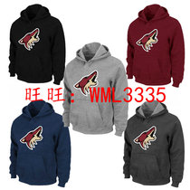 Arizona Coyotes Hoodie Arizona Coyotes Hockey Hot Print Sweatshirt Pullover Solid Hoodie