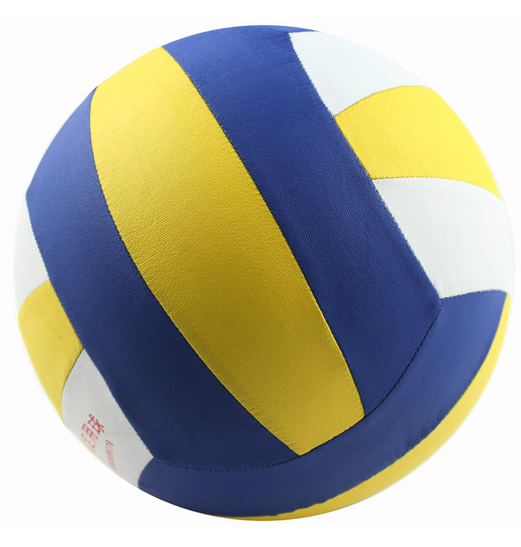 Ballon de volley - Ref 2010327 Image 23