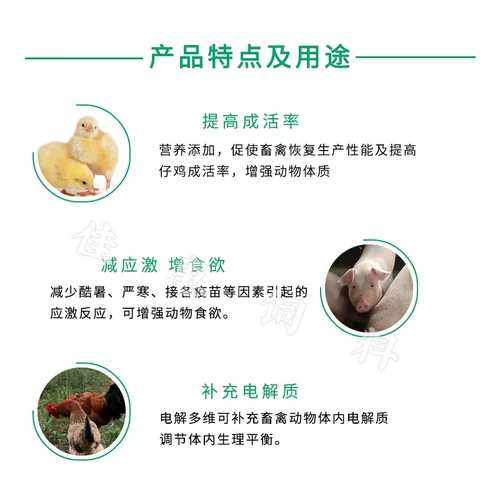 Электролитическое многомерное зверь Используйте курицу с добавлением витамина для птиц, кролика, черепахи, рыбы, креветки и водные премии