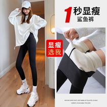 Shark pants woman outside wearing spring and autumn suspended pants winter high waist collecting belly lifting hip slim leg yoga underpants display slim Barbie pants