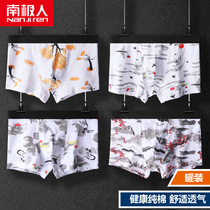 Antarctic underwear men mens cotton boxer antibacterial cotton boxer pants trend personality sports youth shorts head