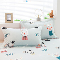 A pair of polished pillowcases thickened adult pillowcases 48 × 74 large single double pillowcases 2