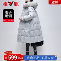 Yose 2021 The new down clothes womens winter medium long section of raccoon fur collar collection waist display slim thickened warm jacket SX