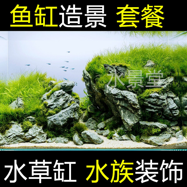 鱼缸装饰 青龙石套餐 尼特利水草泥 水草网 鱼池水草 水草皮 水草高性价比高么？
