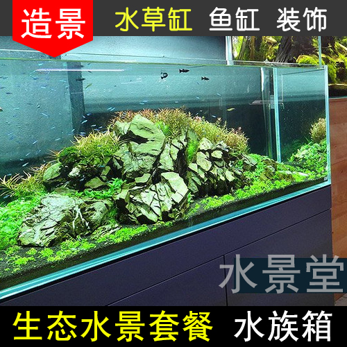 鱼缸装饰青龙石套餐疯狂水草旗舰店摩丝水草鹿角苔水草水草