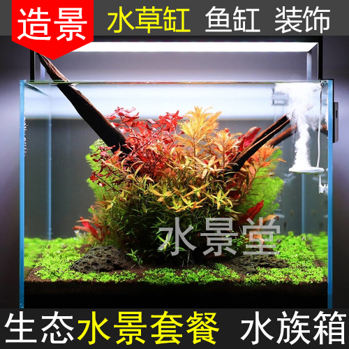 鱼缸装饰 杜鹃根套餐 工具架超白玻璃鱼缸 水草缸水草灯