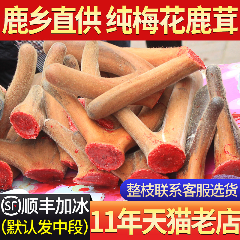 Jilin Shuangyang fresh antler whole root fresh with blood whole branches antler slice of wine bubble water with red pink sheet Lara-Taobao