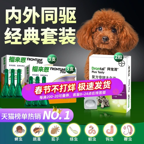 Bayer Dog Dewerming Medicine внутри и снаружи тела поклоняются домашним животным в теле, медицина, лекарства, благословения для собак петля