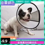 Элизабет Кружная собака и Кошка сражается с домашними животными, домашние животные мягкая шея рука