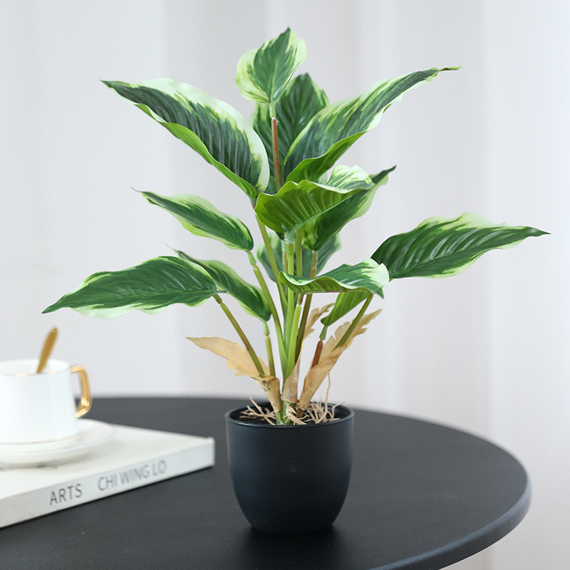 Artificial Green Plant Evergreen Potted Plant Decoration Photography Props Home Office Restaurant Shopping Mall Plant Landscaping