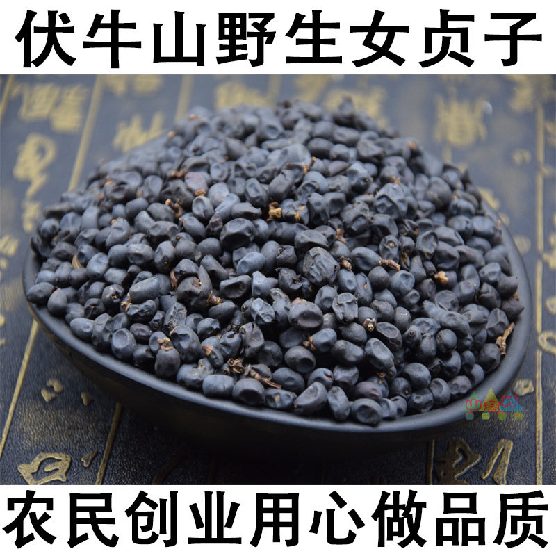 Glossy Privet Tea Man Wild Bubble Tea Powder Glossy Privet Tea Bubble Wine Chinese Herbal Medicine Non-Associates Parish Wild Glossy Privet