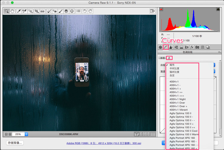 VSCO Film LUTS 电影胶片文艺非主流小清新视频调色预设 共8套                     达芬奇/AE/PR/PS/Vegas/VSCO Film LUTS电影胶片预设全8套/1018种