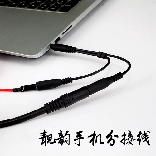 Мобильный телефон, микрофон, ноутбук, планшетный кабель-переходник