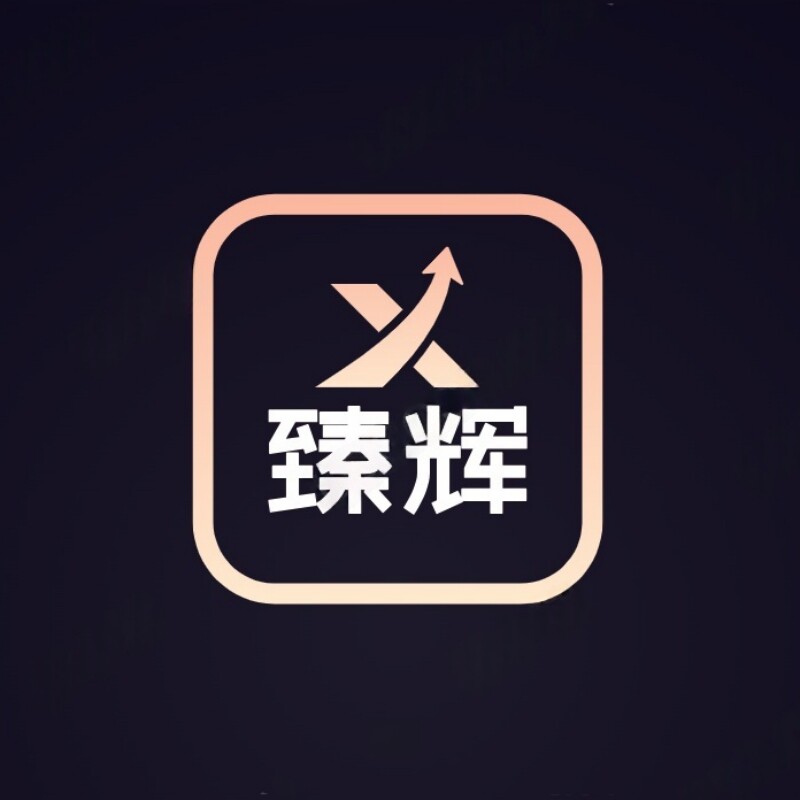 臻辉原创豪华大门拉手
