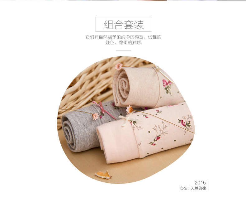 Slip Moyen-âge DNKWC-T6416-3 en coton - Ref 642304 Image 8