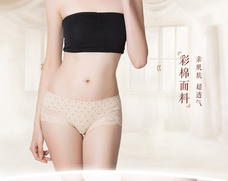 Slip jeunesse DNKWC-T6402-3 en coton - Ref 642177 Image 23