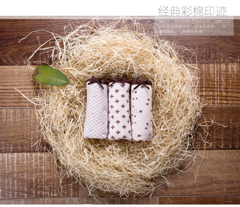 Slip jeunesse DNKWC-T6403-3 en coton - Ref 641743 Image 6